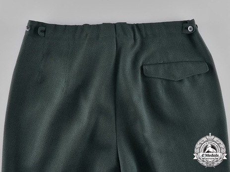 Forestry Trousers Reverse