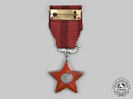 Order of the Red Star, Decoration (1960-1992) Reverse