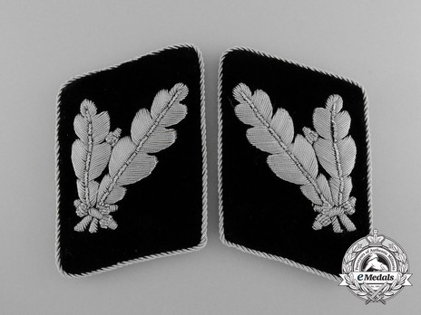 Waffen-SS Post-1942 Oberführer Collar Tabs Obverse