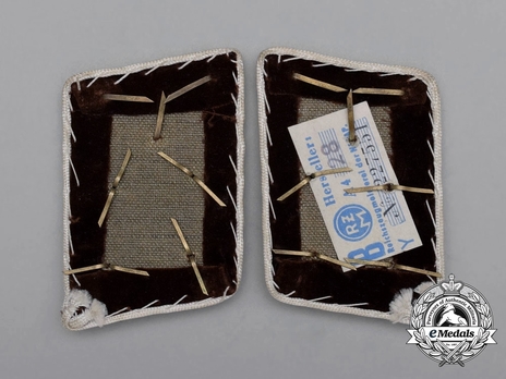 NSDAP Gemeinschaftsleiter Type IV Kreis Level Collar Tabs Reverse