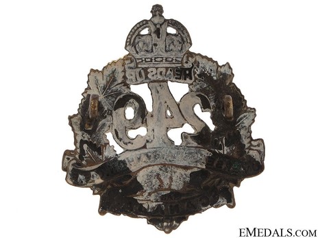 249th Infantry Battalion Other Ranks Collar Badge (Void) Reverse