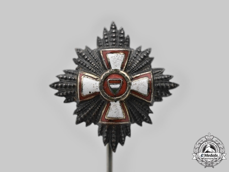 Order of Merit of the Hungarian Republic, Civil Division, Miniature Grand Cross Breast Star Obverse
