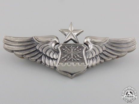 Senior Wings (with sterling silver) Obverse