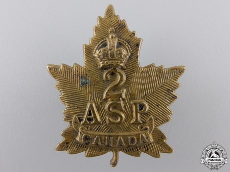 2nd Ammunition Sub Park Company Other Ranks Collar Badge Obverse