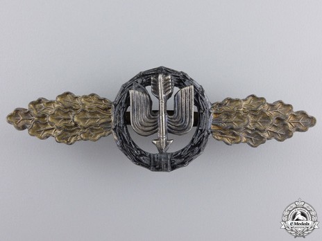 Long-Range Night Fighter Clasp, in Gold Obverse