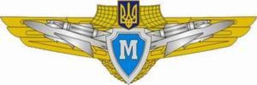Compulsory Military Service Airforce Master Badge Obverse