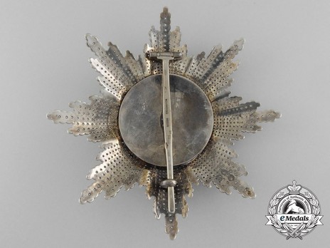 Order of St. Stephen, Type III, Grand Cross Breast Star (with faceted rays) Reverse