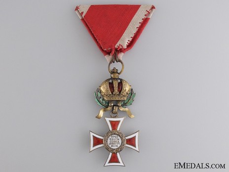 Order of Leopold, Type III, Civil Division, Knight's Cross (with War Decoration and golden Swords) Reverse