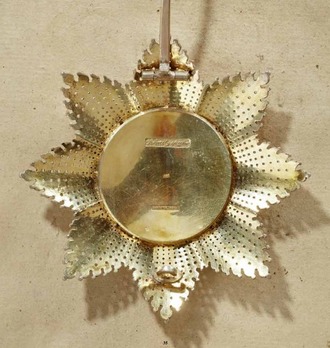 Order of Philip the Magnanimous, Type I, Grand Cross Breast Star (in silver and gold) Reverse