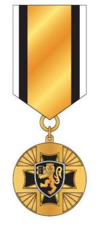 Iv class medal