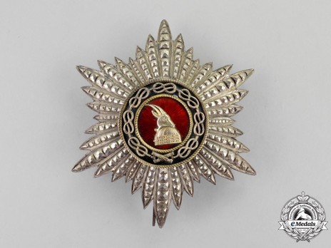 Order of Fidelity, Type II, Grand Officer's Breast Star Obverse