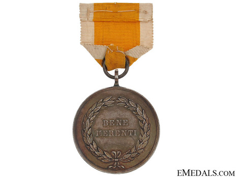 Bene Merenti Medal, Type IV, Large Silver Medal Reverse
