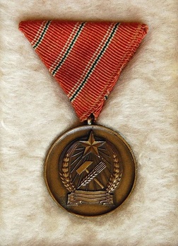 Distinguished Service Medal, Type I Obverse