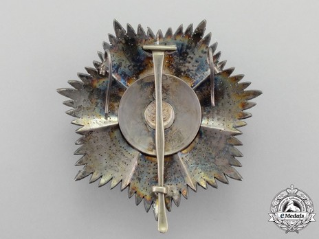 Order of Medjidjie, Military Division, I Class Breast Star Reverse