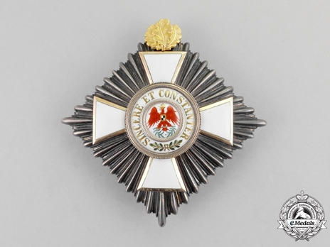 Order of the Red Eagle, Civil Division, Type V, II Class Breast Star (with oak leaves) Obverse
