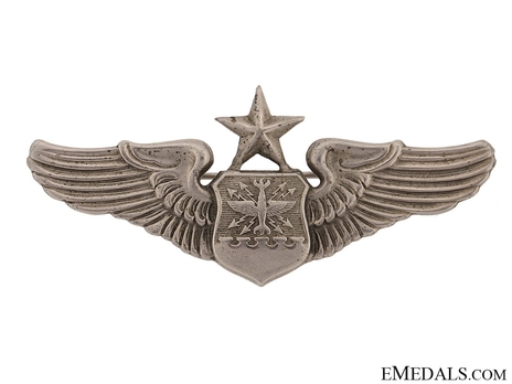 Senior Wings (with silvered brass) Obverse