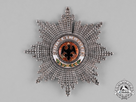 High Order of the Black Eagle, Breast Star (in silver) Obverse