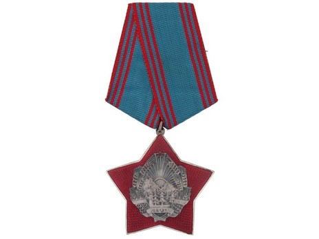 Order for Special Merit in the Defence of the State and Social Order, III Class Breast Star Obverse