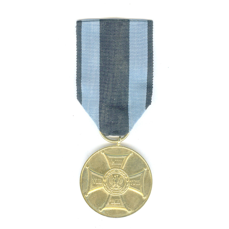 Medal+for+merit+on+the+field+of+glory+ic+lpm