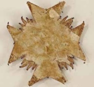 Order of the Lion of Bavaria, Breast Star (embroidered) Reverse