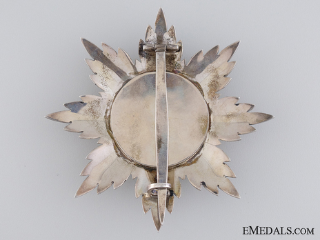 Order of Skanderbeg, Type I, Grand Cross Breast Star Reverse