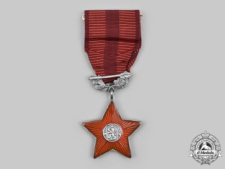 Order of the Red Star, Decoration (1960-1992)