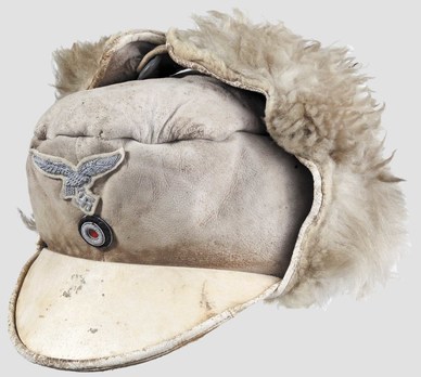Luftwaffe Officer Ranks Winter Visored Field Cap Profile