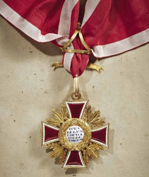 Order of Leopold, Type I, Commander