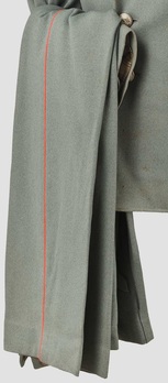 Diplomatic Corps Officials Trousers (Field-Grey version) Obverse