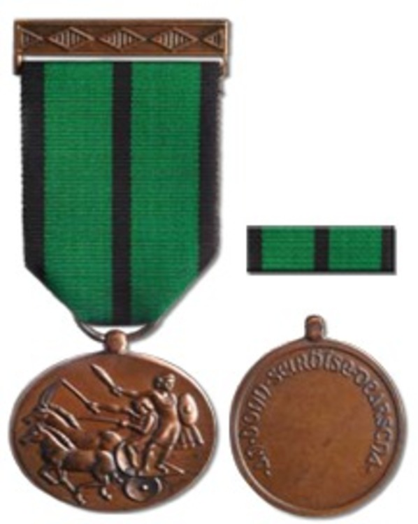 Info medals dsm merit en