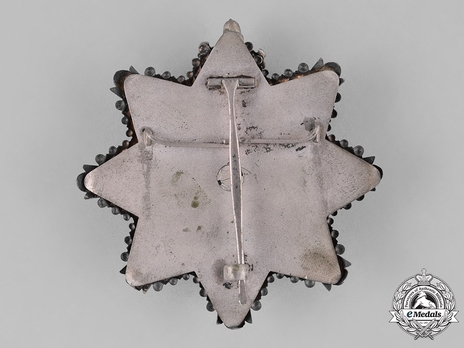 Order of the Estonian Red Cross, I Class Breast Star Reverse