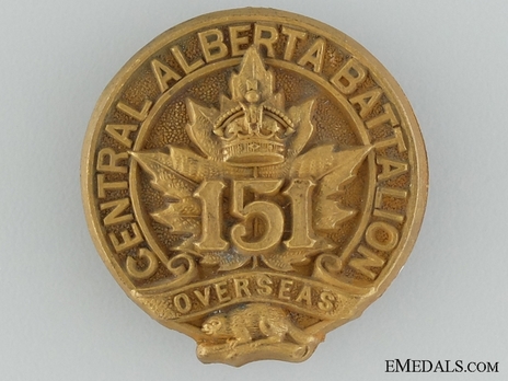 151st Infantry Battalion Officers Cap Badge Obverse
