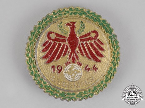 Tyrolean Marksmanship Gau Achievement, Type VII, Champion Badge (for rifle) Obverse