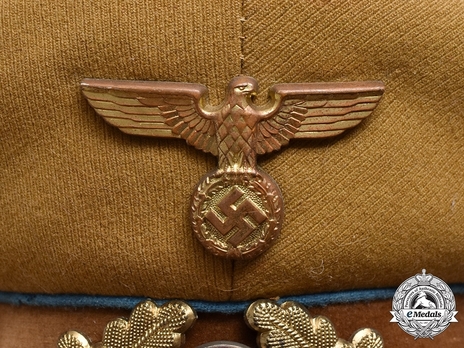 NSDAP Ortsgruppenleitung Visor Cap M39 Eagle Detail