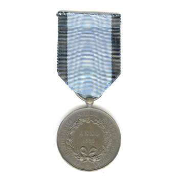 Medal of Merit for Public Health, in Bronze Reverse