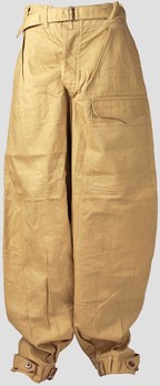 Luftwaffe Tropical Trousers Obverse