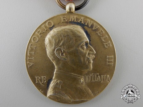Medal of Merit for Italian Schools Abroad, Type II, in Silver Obverse