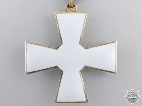 Order of the Lion of Finland, Civil Division, I Class Knight Reverse