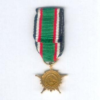 Miniature Gulf Co-operation Gulf Medal, I Class Star Reverse