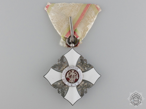 Order of Civil Merit, Type II, V Class Knight Reverse