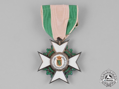 Order of Merit, Type I, Civil Division, I Class Knight (for nationals, in silver gilt) Obverse