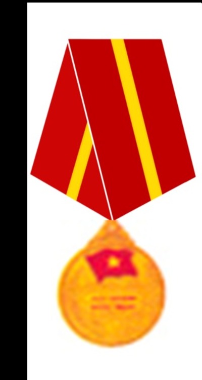 319px friendship medal