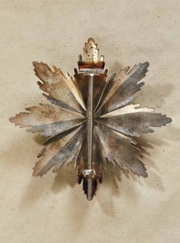 I Class Breast Star with Swords Reverse