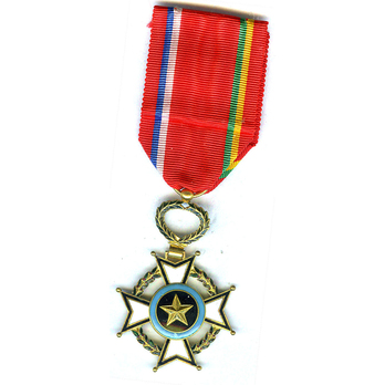 Order of Central African Merit, Knight