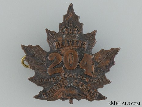 204th Infantry Battalion Other Ranks Cap Badge Obverse