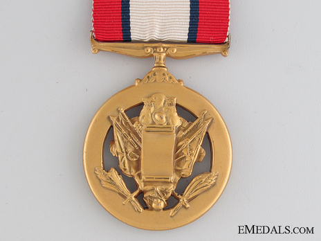 Army Distinguished Service Medal Reverse 