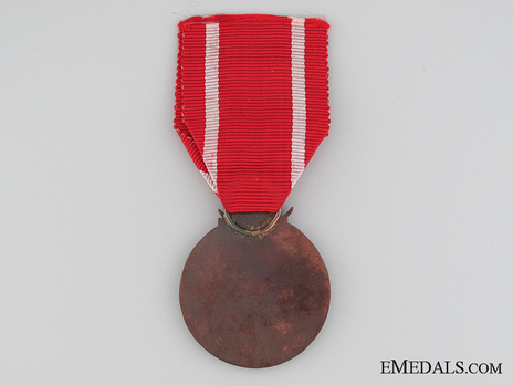Order of the Palestine Campaign Reverse