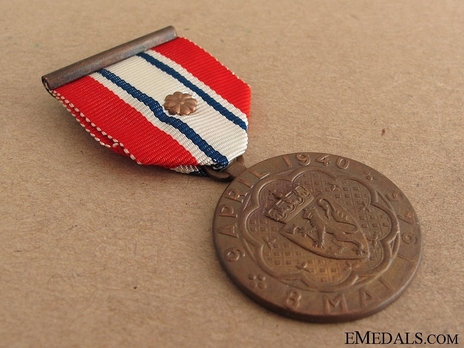 Defence Medal (special distinction) Obverse