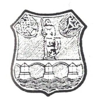 RAD Arbeitsgau Sudetengau-Ost Tradition Cap Badge Obverse