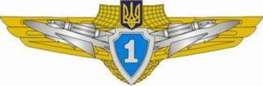 Compulsory Military Service Airforce 1st Grade Badge Obverse
